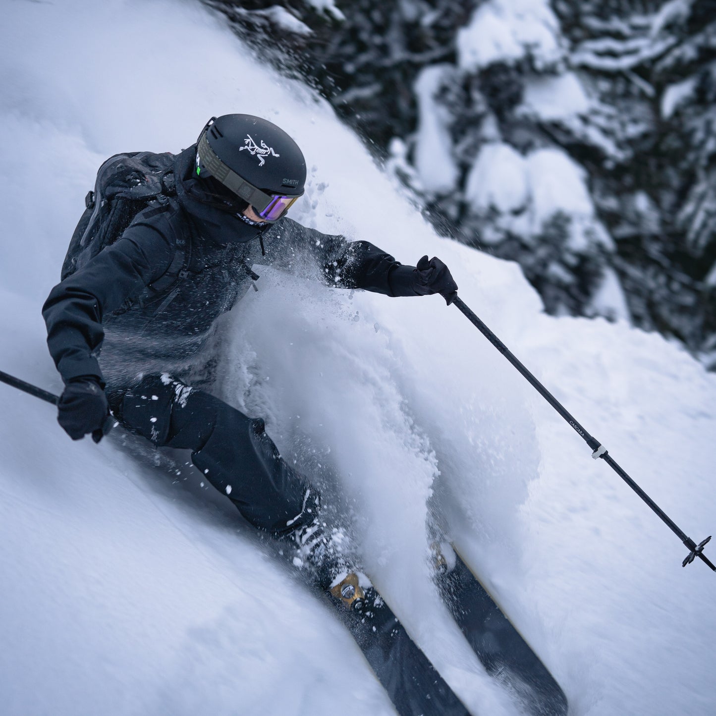 Adjustable Freeride Pole